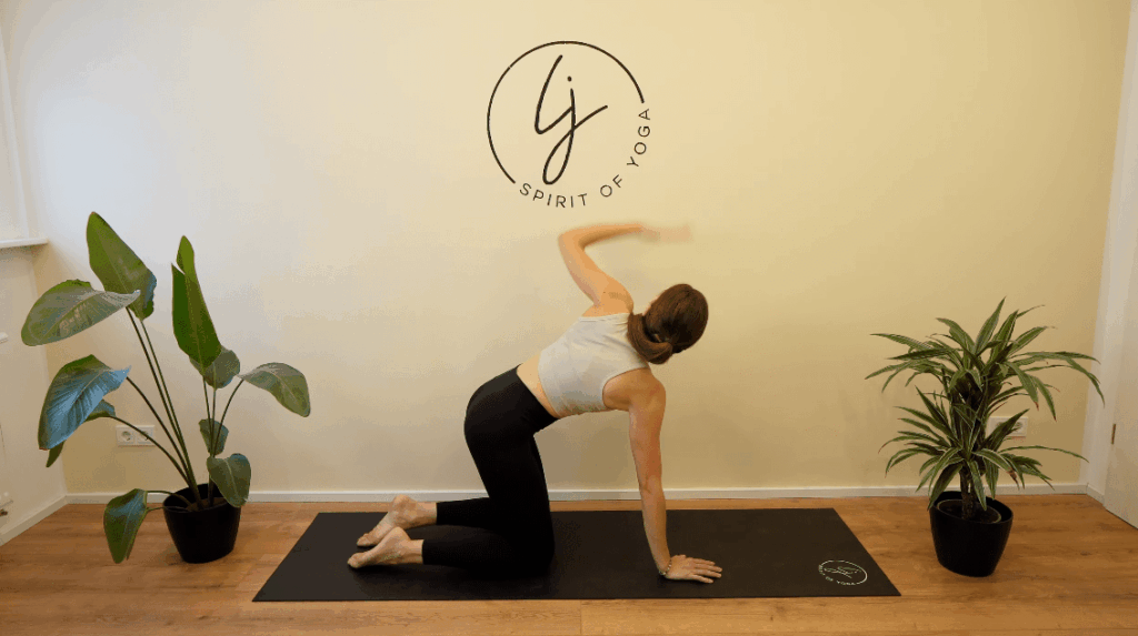 15 - katze kuh arm gestreckt nach oben -min