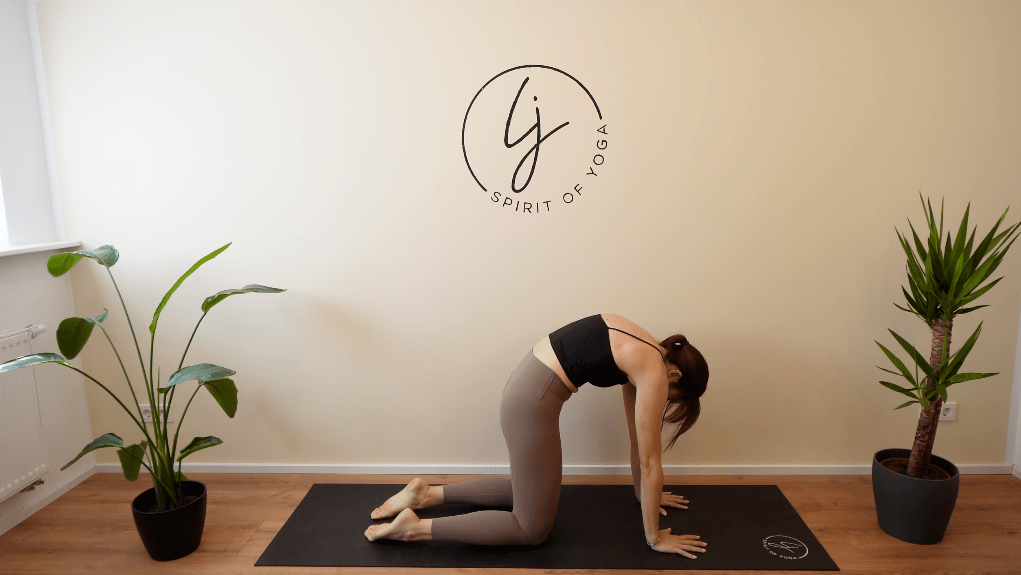 4- katze kuh für absolute yoga beginner oben-min
