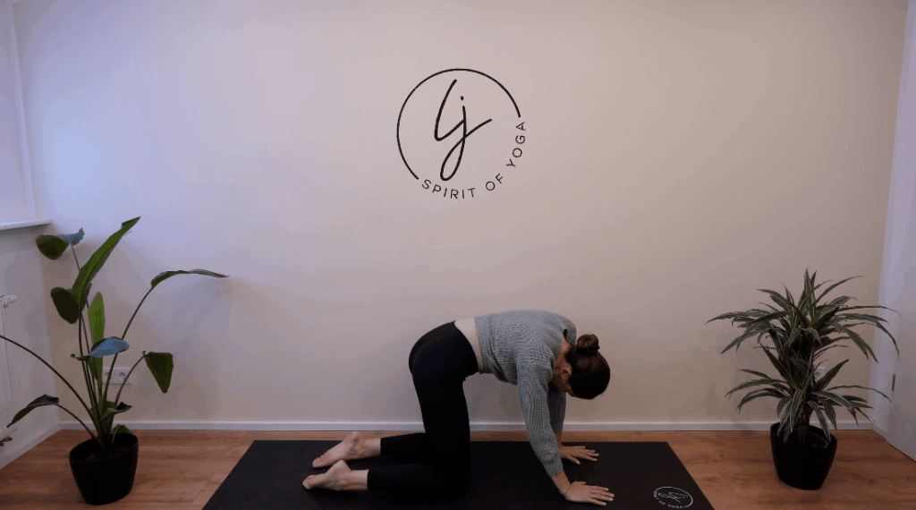 4 - kreisende selfcare katze-kuh bewegung -min