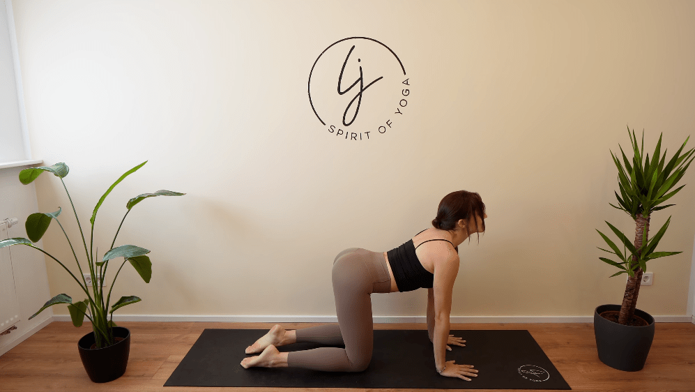 5- katze kuh für absolute yoga beginner unten-min