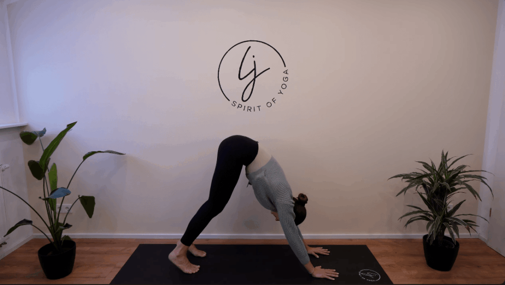 5 - selfcare yoga herabschauender hund-min