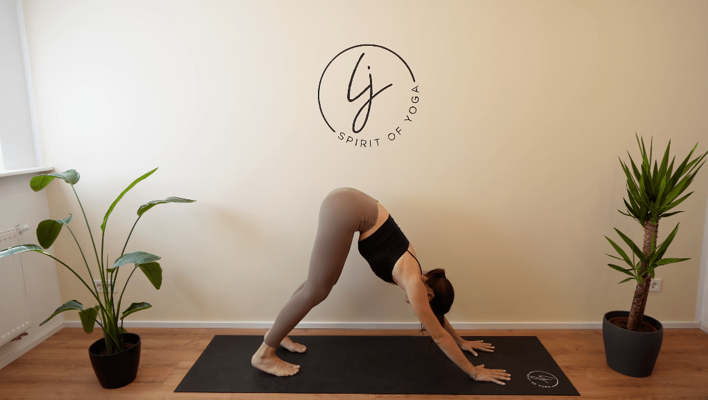 7- der herabschaunende hund als anfänger yoga übung-min