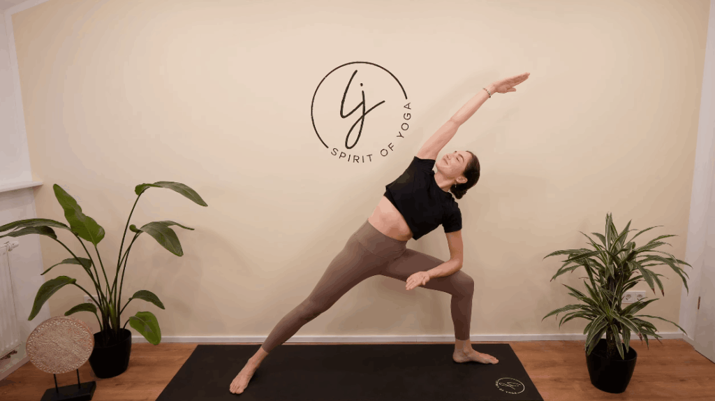 6-gestreckter krieger yoga haltung