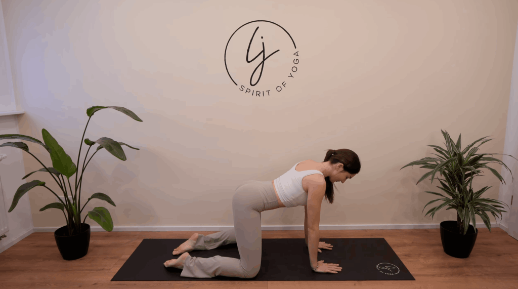 7-Vierfüßlerstand- Beginn