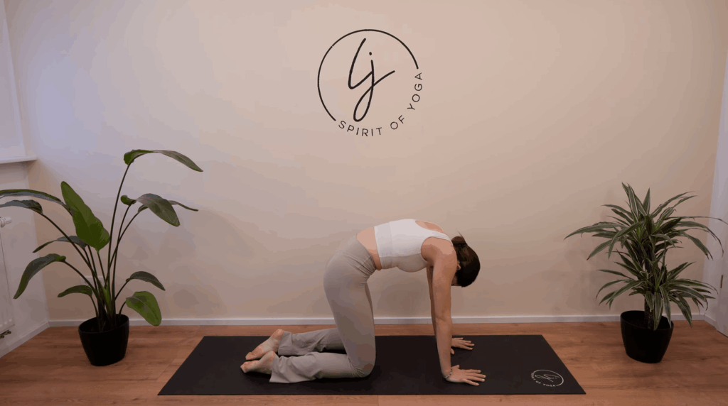 8-Katze-Kuh-Vierfüßlerstand Übung