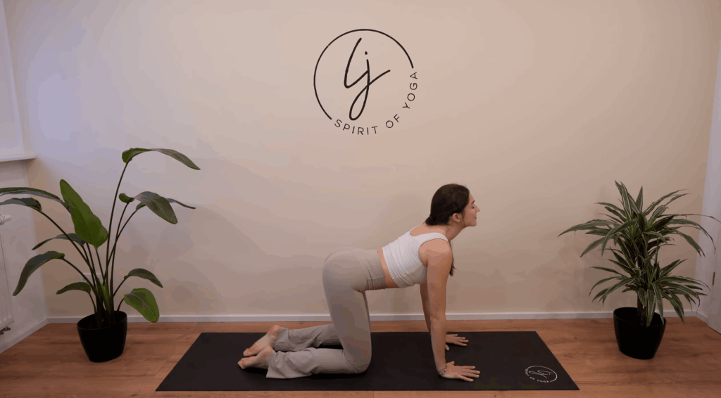 9-Katze-Kuh-Vierfüßlerstand Übung